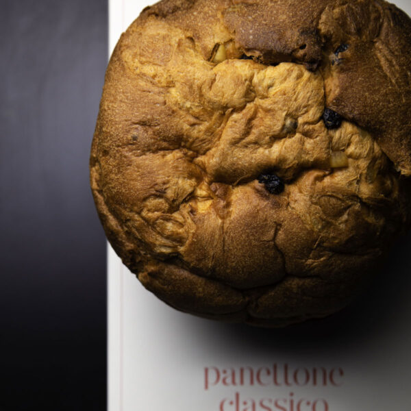 L'Arte del Panettone Artigianale nel Lazio